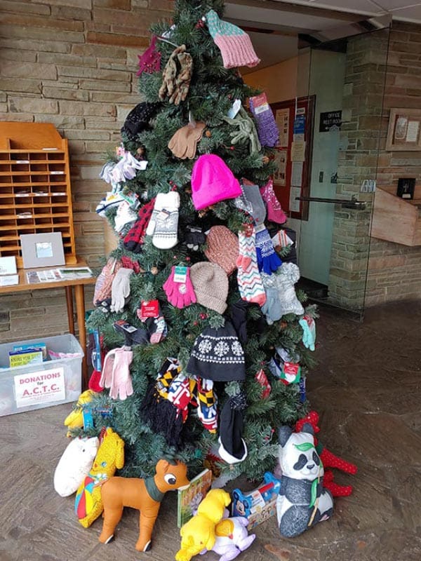 gtiving-tree-2